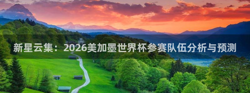 新星云集：2026美加墨世界杯参赛队伍分析与预测