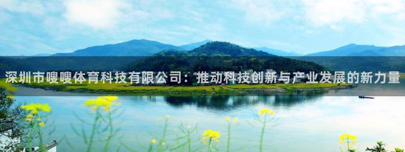 深圳市嗖嗖体育科技有限公司：推动科技创新与产业发展的新力量