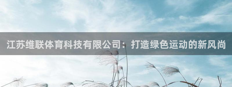江苏维联体育科技有限公司：打造绿色运动的新风尚