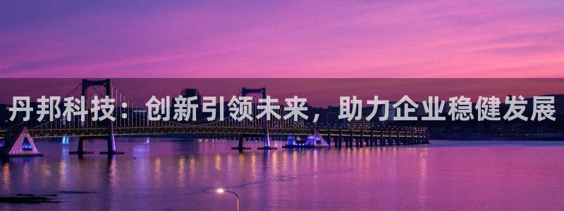 丹邦科技：创新引领未来，助力企业稳健发展