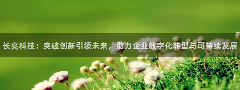长亮科技：突破创新引领未来，助力企业数字化转型与可持续发展