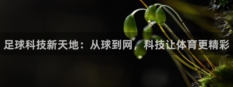 足球科技新天地：从球到网，科技让体育更精彩