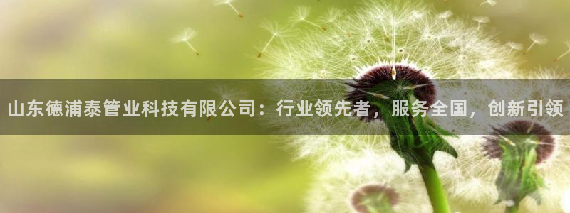 山东德浦泰管业科技有限公司：行业领先者，服务全国，创新引领