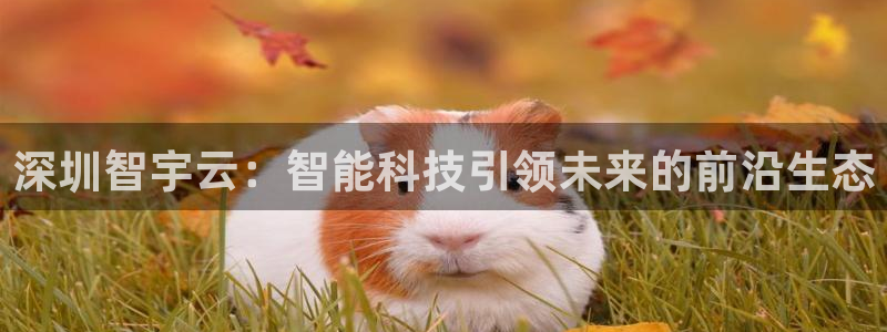 深圳智宇云：智能科技引领未来的前沿生态