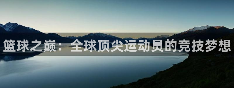 篮球之巅：全球顶尖运动员的竞技梦想