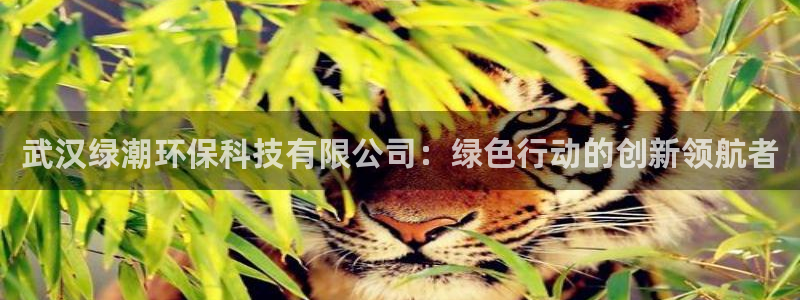 武汉绿潮环保科技有限公司：绿色行动的创新领航者