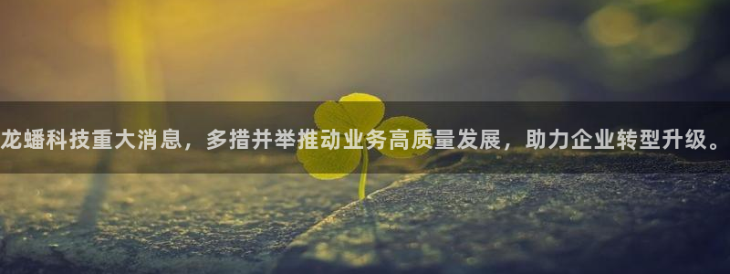 龙蟠科技重大消息，多措并举推动业务高质量发展，助力企业转型升级。