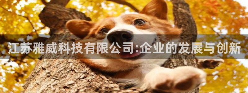江苏雅威科技有限公司:企业的发展与创新