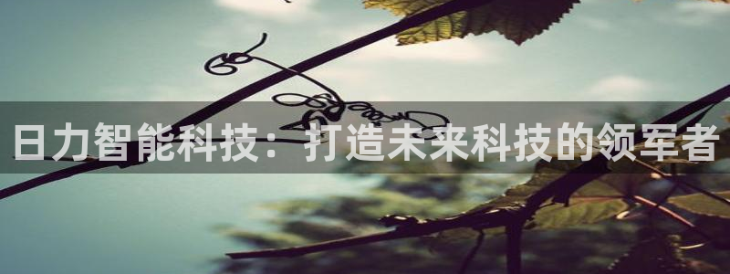 日力智能科技：打造未来科技的领军者