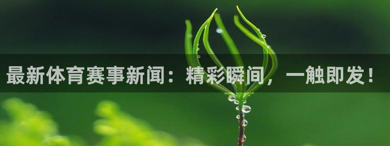 最新体育赛事新闻：精彩瞬间，一触即发！