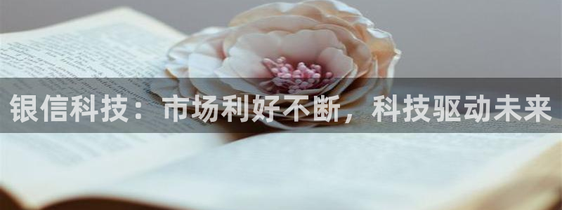 银信科技：市场利好不断，科技驱动未来