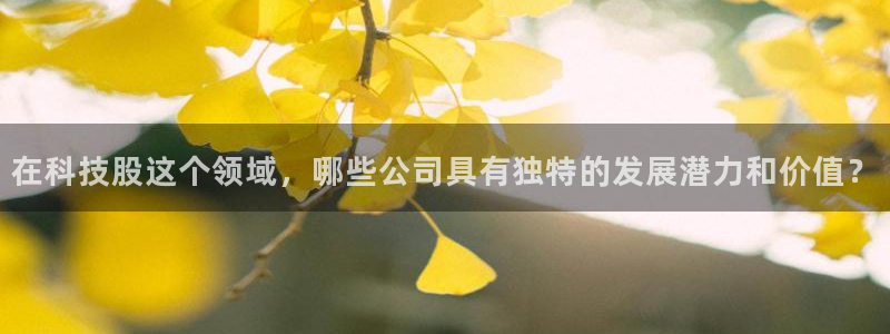 在科技股这个领域，哪些公司具有独特的发展潜力和价值？