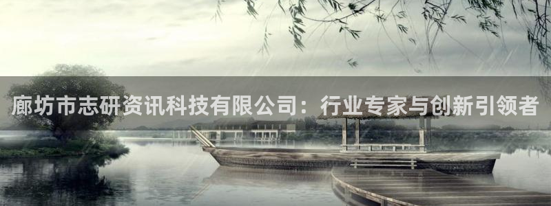 廊坊市志研资讯科技有限公司：行业专家与创新引领者