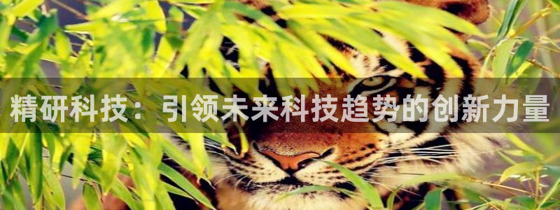 精研科技：引领未来科技趋势的创新力量