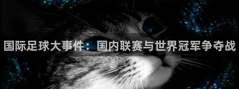 国际足球大事件：国内联赛与世界冠军争夺战
