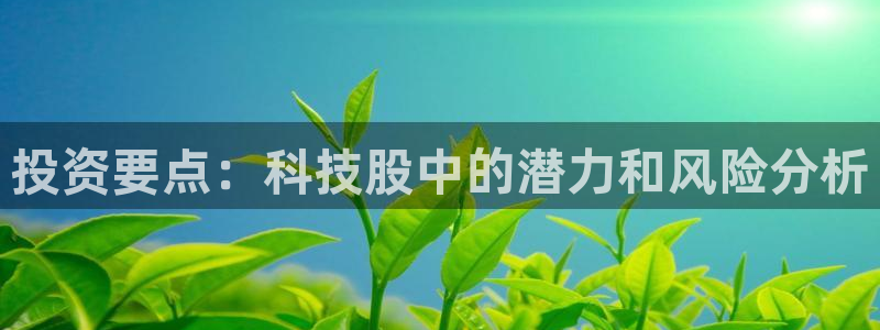投资要点：科技股中的潜力和风险分析