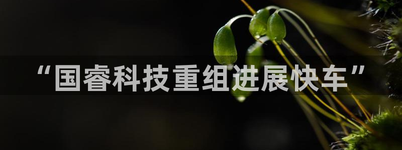 “国睿科技重组进展快车”