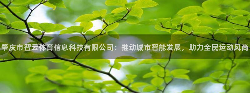 肇庆市智云体育信息科技有限公司：推动城市智能发展，助力全民运动风尚