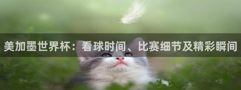 美加墨世界杯：看球时间、比赛细节及精彩瞬间