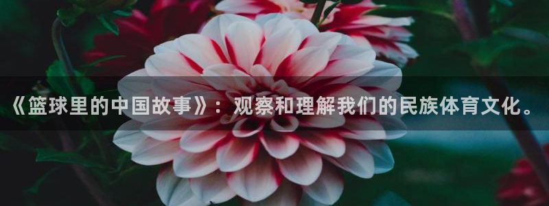 《篮球里的中国故事》：观察和理解我们的民族体育文化。
