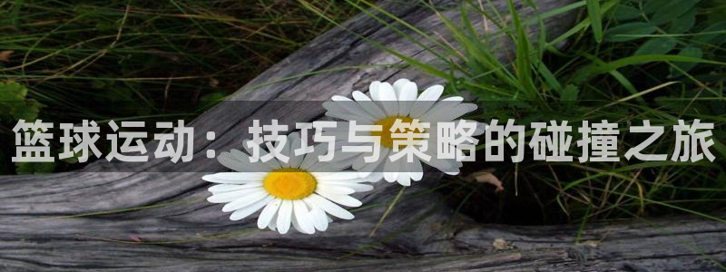 篮球运动：技巧与策略的碰撞之旅
