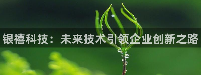 银禧科技：未来技术引领企业创新之路