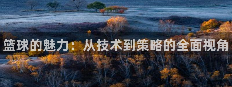 篮球的魅力：从技术到策略的全面视角