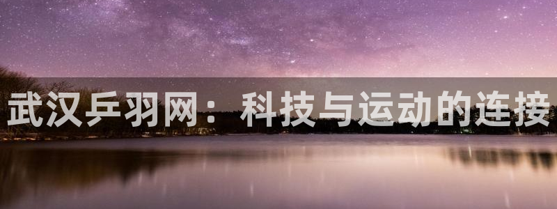 武汉乒羽网：科技与运动的连接