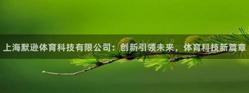 上海默逊体育科技有限公司：创新引领未来，体育科技新篇章